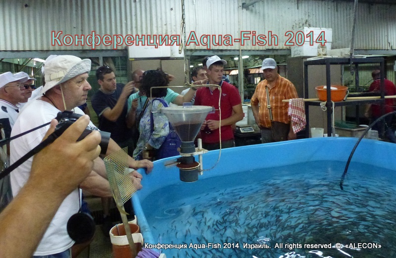 рыбная конференция Аква-Фиш 2014 Разведение рыбы