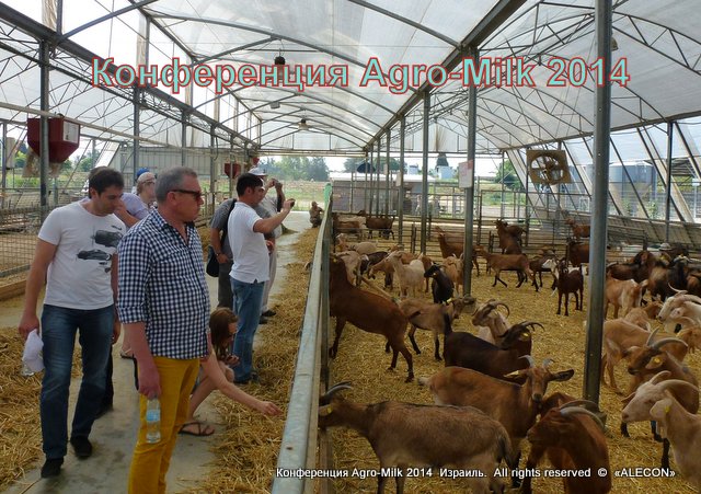Конференция «Передовое молочное животноводство». Agro-Milk 2014.